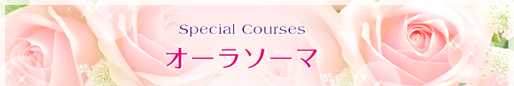 Special Courses オーラソーマ
