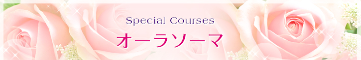 Special courses オーラソーマ