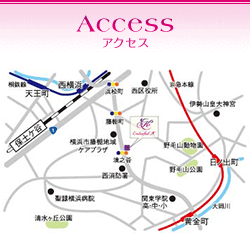 Access アクセス