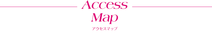 AccessMap アクセスマップ