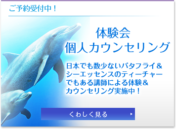 ご予約受付中！ 体験講座/コンサルテーション 日本でも数少ないバタフライ＆シーエッセンスのティーチャーでもある講師によるセミナー実施中！ 詳しく見る