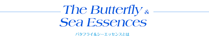 Butterfly＆Sea Essenceバタフライ＆シーエッセンスとは