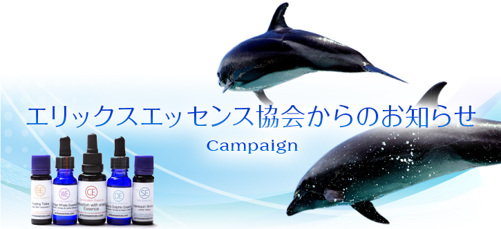 エリックスエッセンス協会からのお知らせ Campaign