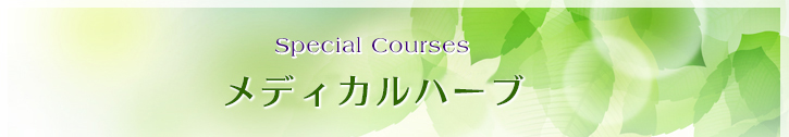 Special Courses メディカルハーブ