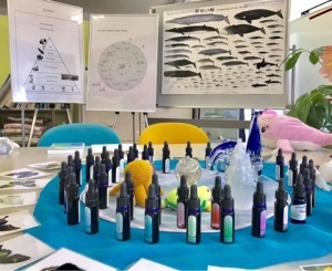 未来を動かすわたしだけのエッセンス